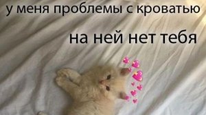 *бригада в описании видео*