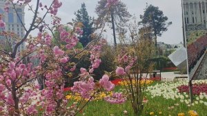 Душанбе 04.04.2026 Парк Ахмади Дениш 🇹🇯