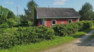 СУПЕР УЙ 52 соток, Москва - Рига трасса, Псков обл. Поселок Маево