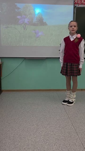 № 26/479 Синельникова Вероника МАОУ 