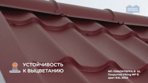 Полимерные покрытия класса Стандарт ― Полиэстер и VikingMP