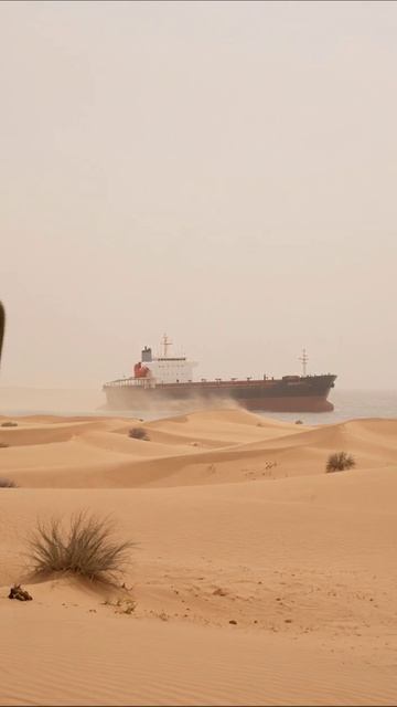 Секреты пустыни: корабль и кактус #пустыня #корабли #природа