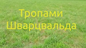 Живописная долина Циммерна