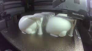 3D печать BAMBU LAB P2S COMBO PLA пластик