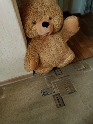 это медведь убийца 😭😭😭