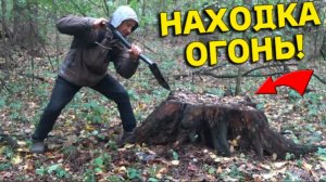 Шикарная НАХОДКА под Старым ДУБОМ порадовала не по ДЕТСКИ, почаще бы так ВЕЗЛО на Копе!!!