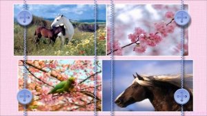 Amure - Instrumental