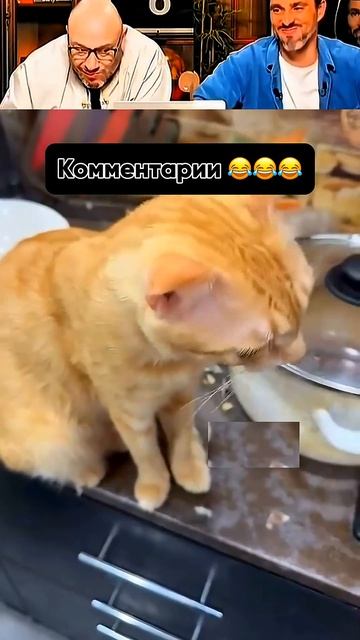 СМЕШНО И ТОЧКА