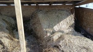 Охота на Кабана