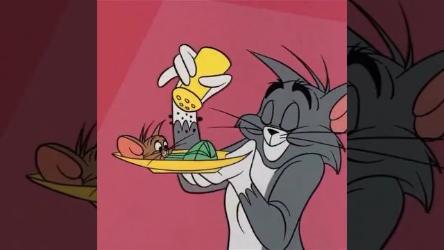 Tom  Jerry  Toms date went wrong