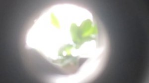 Я щас встану а ты вылетишь атсюдаааваа