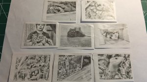 12-04-2026 коллекция фотографий животных