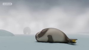 Singing In The CaveㅣSEALOOK