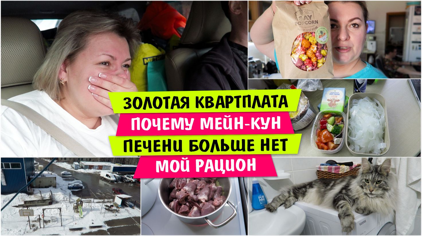 ЗОЛОТАЯ КВАРТПЛАТА / Почему МЕЙН-КУН / Печени БОЛЬШЕ НЕТ / Мой РАЦИОН / Vika Siberia LifeVlog