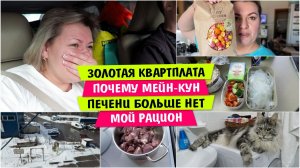 ЗОЛОТАЯ КВАРТПЛАТА / Почему МЕЙН-КУН / Печени БОЛЬШЕ НЕТ / Мой РАЦИОН / Vika Siberia LifeVlog