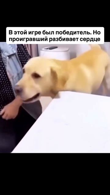 Ржу не могу #прикол #ржач #тренд #угар #жасть