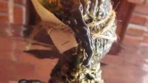 СНЯТЬ ЛЮБОВНУЮ МАГИЮ С МУЖЧИНЫ #РИТУАЛ