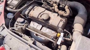 document_5393486026121447836