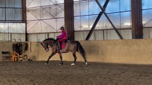 29074837_456239071.mp4