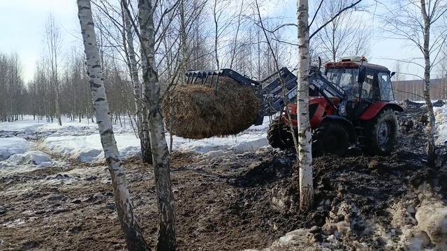 Охота на Кабана