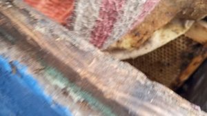 Мотопрогулка на пасеку...