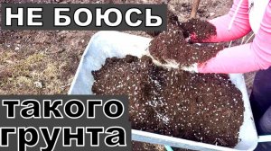 У вас чахнет рассада? Я не боюсь такого грунта и моя рассада отличная