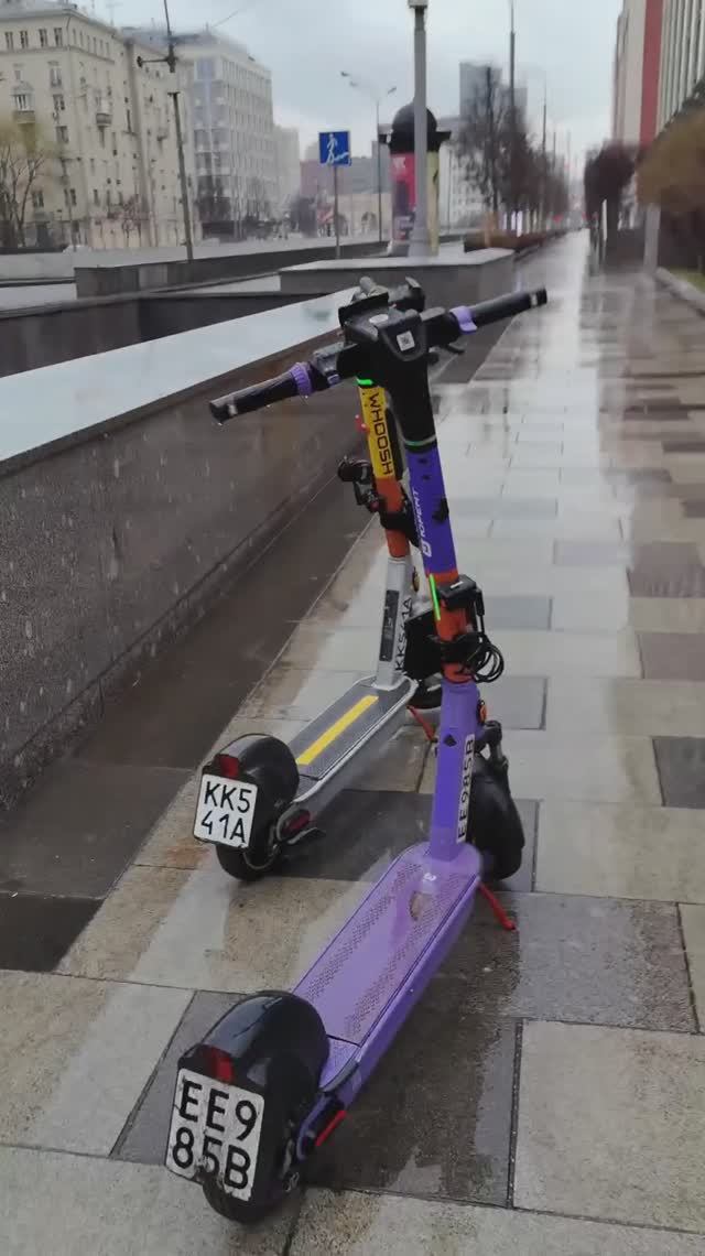 Утреннее настроение 97  Morning mood 97 