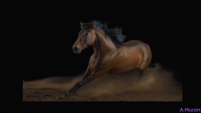 Amure - Southern Nights