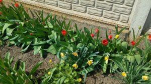 Херсонщина 12 апреля 2026 года