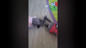 Утро басят//перезалив с ютуба//08.04.2023