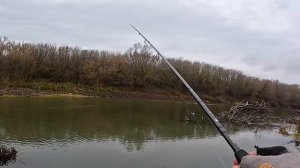 Дроп-шот или ДЖИГ? Что выманит хищника из под дерева? Рыбалка на спиннинг с берега.