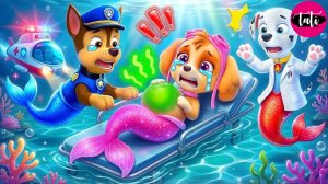 Щенячий патруль и Маршалл. Залипательное видео. Мультфильм для детей и малышей. Анимация 390