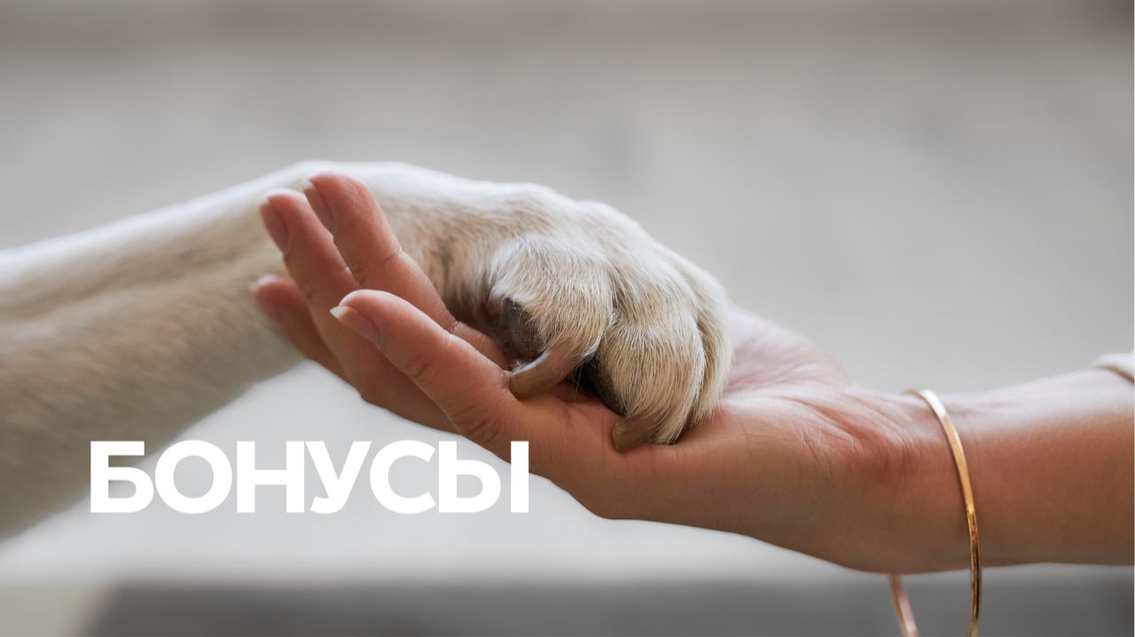 Банк крови животных БИОТА