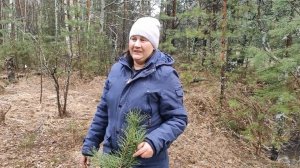 В лесу на пасху