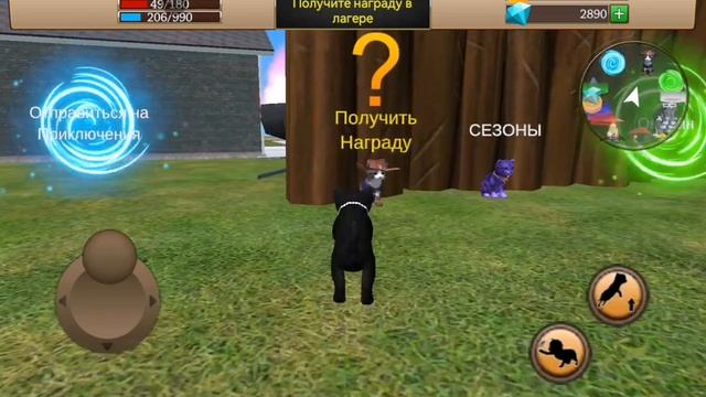 Кошачий симулятор. Пригород