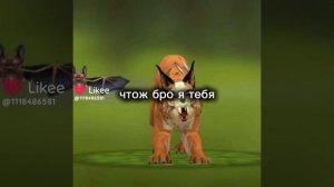 псины отбросы