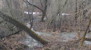 11.04.2026.Ляховский край.Уно-Моменто!25/7/365. Губернаторский. Ляхово TиVи. Усадьба Парк Кинематогр