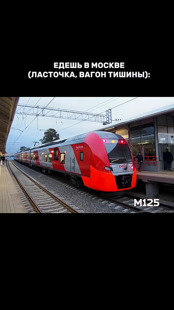 #москва #транспорт #электричка #подмосковье #метро #ласточка