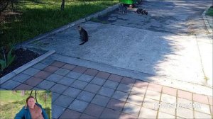 Санаторий Анапа. наш отзыв.