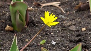 В Москву вернулось долгожданное тепло.