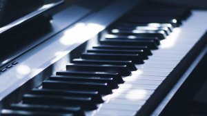 Gibran Alcocer — Idea 7