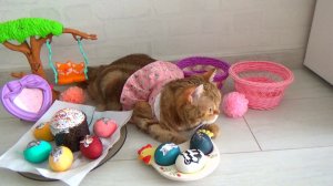 Кошка Лиса Поздравляет с Праздником Светлой Пасхи!