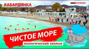 В Кабардинке чистое море. Мазута нет! Заплыв моржей. Отдых на море.