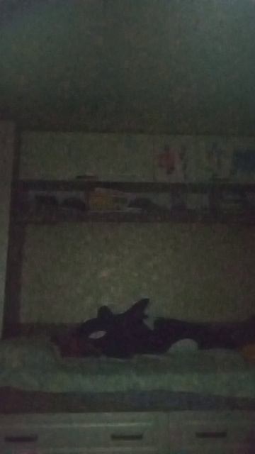 Что выберешь?