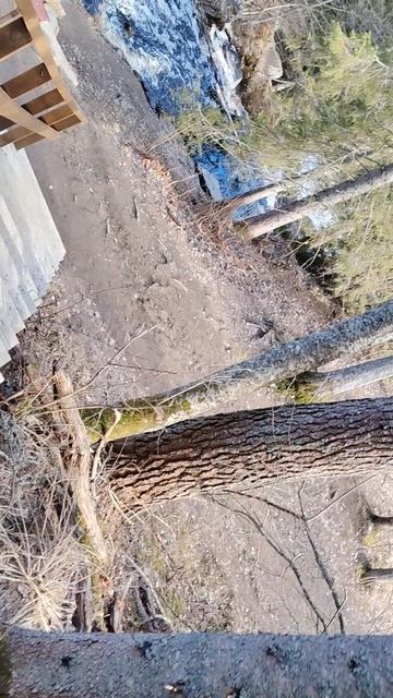 Белые мосты