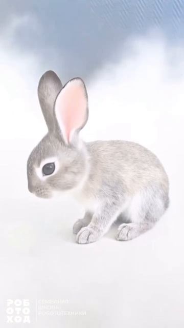 🐰 В «Роботоходе» поселился пасхальный заяц!