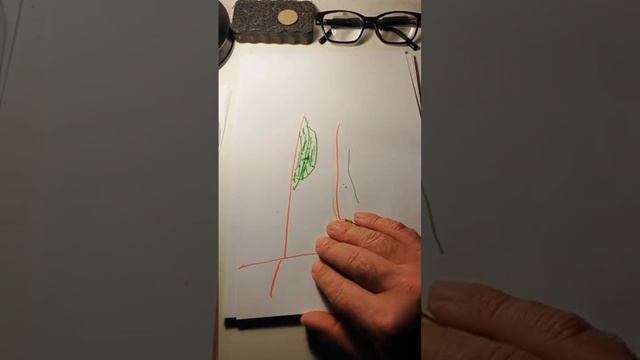 чтобы старые деревья дольше жили над за ними ухаживать