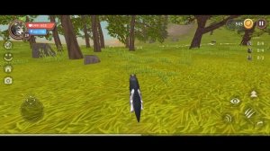 отвечаю на вопросы