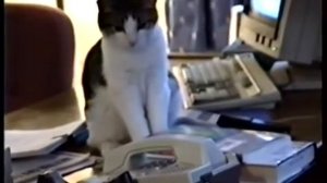 ПЕРЕКЛЮЧАЮ НА ФАКС ИЛИ ПУШИСТЫЙ АВТООТВЕТЧИК