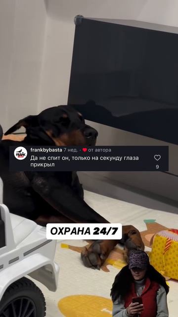 юмор . делись с другом и оставайся со мной.